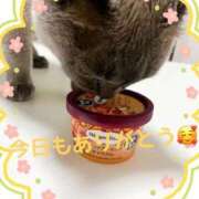 ヒメ日記 2026/04/05 19:32 投稿 あお 熟女総本店