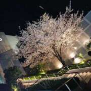 かぐら 退勤しました🐶 リアル 梅田店