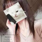 一色よすが しゅっきん！ AJ DOLLS(エージェイドールズ)