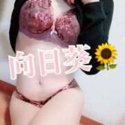 向日葵　ひまり 甘々からのエロが好き♥️ 本庄人妻城