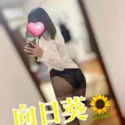 ヒメ日記 2025/12/08 09:20 投稿 向日葵　ひまり 本庄人妻城