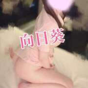 ヒメ日記 2026/05/19 09:15 投稿 向日葵　ひまり 本庄人妻城
