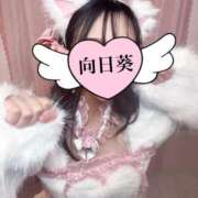 ヒメ日記 2026/07/04 09:31 投稿 向日葵　ひまり 本庄人妻城