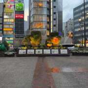 ヒメ日記 2025/06/25 19:22 投稿 ゆり 池袋サンキュー