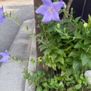 ヒメ日記 2025/06/27 10:04 投稿 ゆり 池袋サンキュー