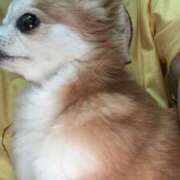 ヒメ日記 2025/06/28 10:52 投稿 ゆり 池袋サンキュー