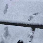 ヒメ日記 2026/02/08 09:09 投稿 ゆいな 渋谷 風俗 奥様発情の会