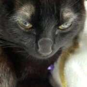 ヒメ日記 2025/08/21 17:34 投稿 かすみ 池袋おかあさん