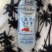 ヒメ日記 2025/07/24 10:03 投稿 かすみ 吉祥寺おかあさん