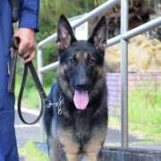 ヒメ日記 2025/08/05 15:02 投稿 かすみ 吉祥寺おかあさん