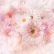 ヒメ日記 2025/07/30 18:40 投稿 さくら しろうと娘　本店