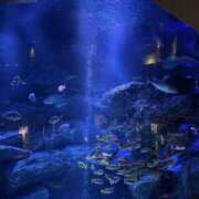 ヒメ日記 2025/07/08 15:47 投稿 いずみ ハニープラザ（ユメオト）