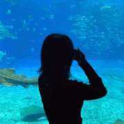 ヒメ日記 2026/02/18 11:24 投稿 るり【プレミアム】 大人のゴシャール