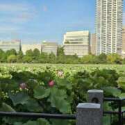 ヒメ日記 2025/07/18 15:07 投稿 大原 あなたに逢いたくて