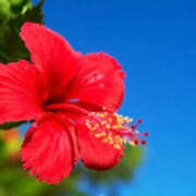 ヒメ日記 2025/08/06 19:07 投稿 大原 あなたに逢いたくて