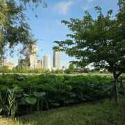 ヒメ日記 2025/08/27 09:47 投稿 大原 あなたに逢いたくて