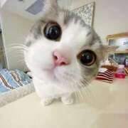 ヒメ日記 2025/09/21 14:42 投稿 大原 あなたに逢いたくて