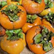 ヒメ日記 2025/11/03 09:47 投稿 大原 あなたに逢いたくて