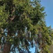 ヒメ日記 2026/01/18 09:47 投稿 大原 あなたに逢いたくて