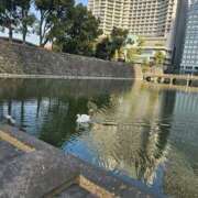 ヒメ日記 2026/02/06 11:47 投稿 大原 あなたに逢いたくて