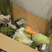 ヒメ日記 2026/02/11 17:27 投稿 大原 あなたに逢いたくて