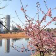 ヒメ日記 2026/03/04 14:07 投稿 大原 あなたに逢いたくて