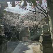 ヒメ日記 2026/03/27 20:47 投稿 大原 あなたに逢いたくて