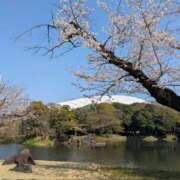 ヒメ日記 2026/05/22 16:57 投稿 大原 あなたに逢いたくて