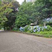 大原 おはよー あなたに逢いたくて