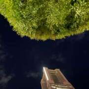 ヒメ日記 2025/10/17 22:30 投稿 このは 横浜人妻ヒットパレード（シンデレラグループ）