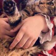 ヒメ日記 2026/02/22 11:22 投稿 樹菜-じゅな【FG系列】 ほんつま 沼津店 (FG系列)