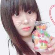 ヒメ日記 2025/07/14 17:48 投稿 くぅ 所沢東村山ちゃんこ