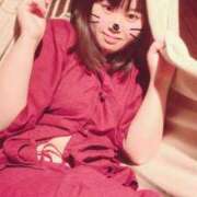 ヒメ日記 2025/08/26 07:24 投稿 くぅ 所沢東村山ちゃんこ