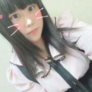 ヒメ日記 2025/06/25 14:37 投稿 くぅ 西東京市小平ちゃんこ