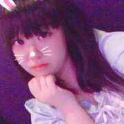 ヒメ日記 2025/06/25 15:19 投稿 くぅ 西東京市小平ちゃんこ