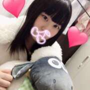 ヒメ日記 2025/06/28 13:40 投稿 くぅ 西東京市小平ちゃんこ