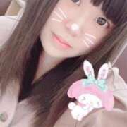 ヒメ日記 2025/07/01 07:31 投稿 くぅ 西東京市小平ちゃんこ