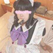 ヒメ日記 2025/07/01 20:22 投稿 くぅ 西東京市小平ちゃんこ