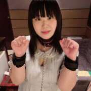 ヒメ日記 2025/07/02 13:45 投稿 くぅ 西東京市小平ちゃんこ