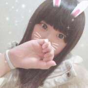 ヒメ日記 2025/07/03 03:31 投稿 くぅ 西東京市小平ちゃんこ