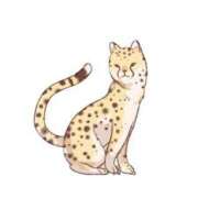 ヒメ日記 2025/07/04 10:42 投稿 くぅ 西東京市小平ちゃんこ