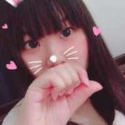 ヒメ日記 2025/07/08 21:42 投稿 くぅ 西東京市小平ちゃんこ