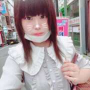 ヒメ日記 2025/07/14 10:34 投稿 くぅ 西東京市小平ちゃんこ