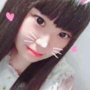 ヒメ日記 2025/07/18 16:45 投稿 くぅ 西東京市小平ちゃんこ