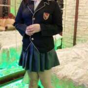 ヒメ日記 2025/07/21 12:01 投稿 くぅ 西東京市小平ちゃんこ