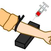 ヒメ日記 2025/09/01 08:01 投稿 くぅ 西東京市小平ちゃんこ