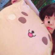 ヒメ日記 2025/09/02 21:02 投稿 くぅ 西東京市小平ちゃんこ