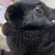 ヒメ日記 2025/12/19 05:03 投稿 ♪かのん♪ 水色りぼん