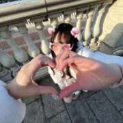 ヒメ日記 2025/11/19 09:18 投稿 佐伯りさ ウルトラロイヤル