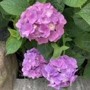 ヒメ日記 2025/06/26 20:01 投稿 吉野 上野CLUB A(クラブ エー)